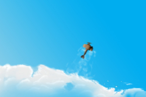 Airplane In Sky wallpaper 480x320