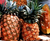 Обои Pineapples 176x144