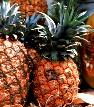 Pineapples sfondi gratuiti per HTC HD7