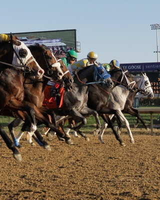 Breeders Cup - Obrázkek zdarma pro 132x176