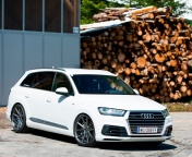Audi Q5 wallpaper 176x144