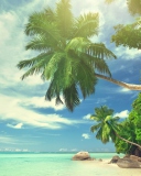 Screenshot №1 pro téma Tropical Island 128x160