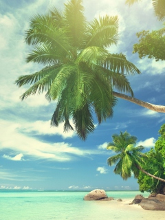 Fondo de pantalla Tropical Island 240x320