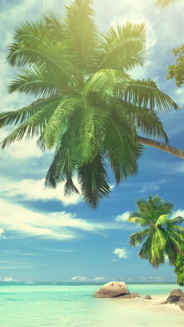 Tropical Island wallpaper 360x640