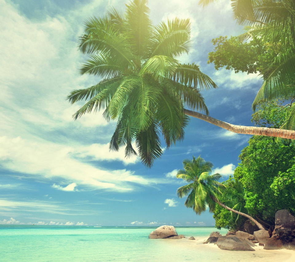 Tropical Island wallpaper 960x854