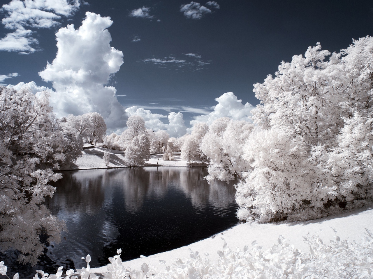 Screenshot №1 pro téma Snowy Landscape 1280x960