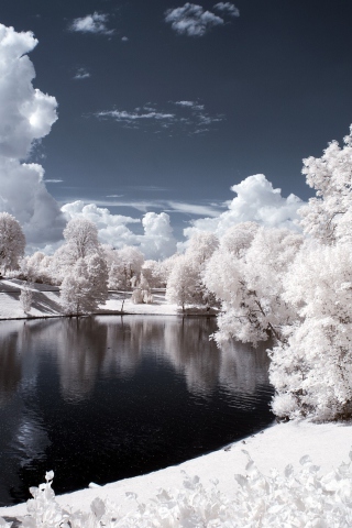 Fondo de pantalla Snowy Landscape 320x480