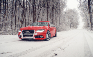 Red Audi S4 - Fondos de pantalla gratis 