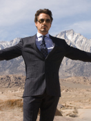 Robert Downey screenshot #1 132x176