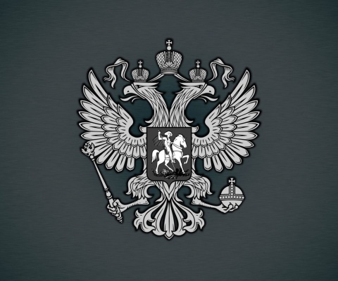 Das Coat of arms of Russia Wallpaper 480x400