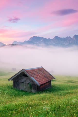Alps Meadow Germany screenshot #1 320x480