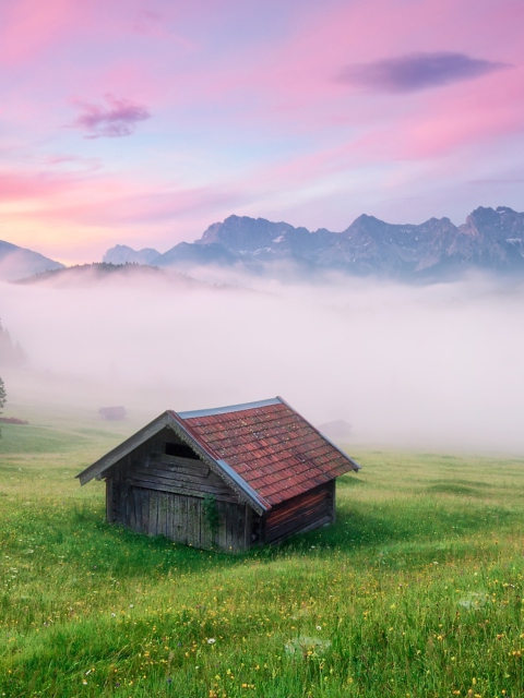 Alps Meadow Germany screenshot #1 480x640