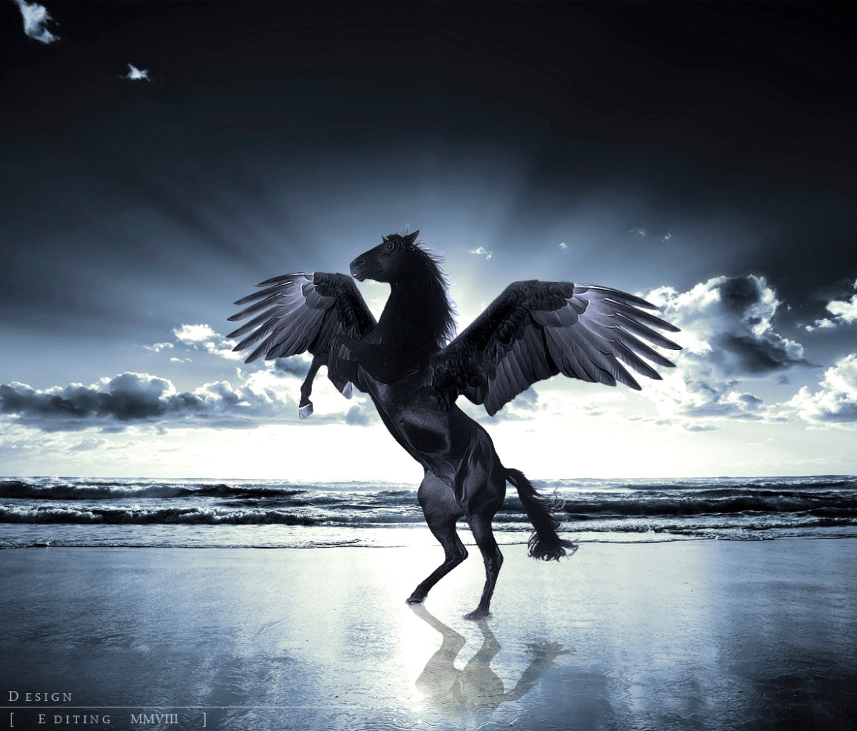 Das Pegasus Wallpaper 1200x1024