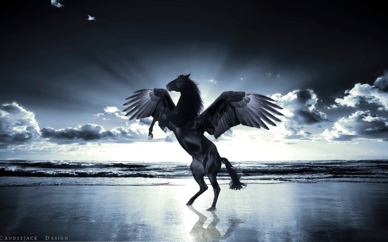 Pegasus wallpaper 1280x800