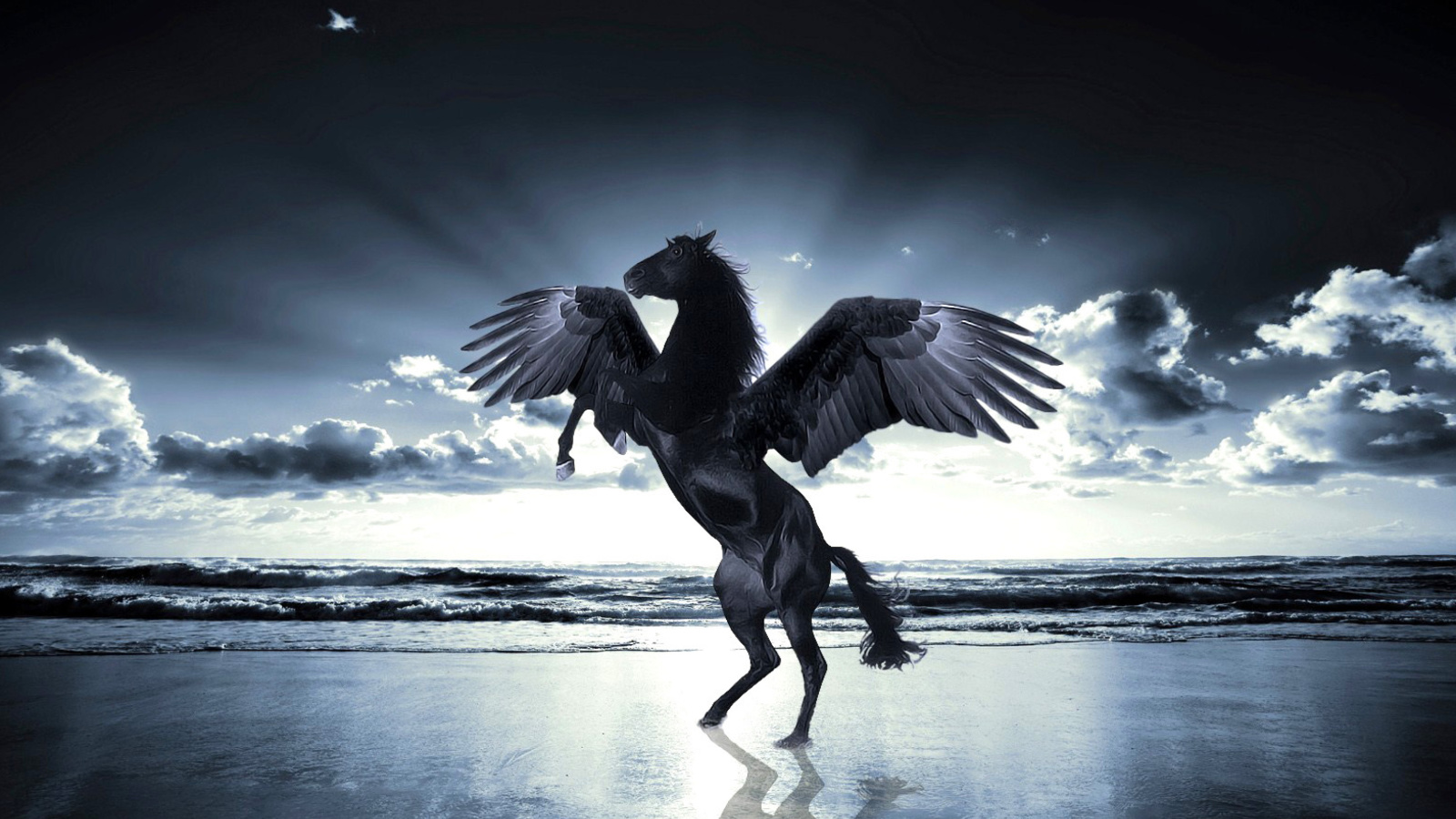 Sfondi Pegasus 1600x900