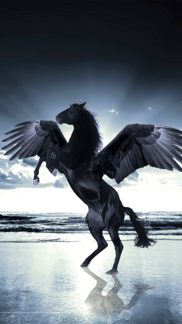 Fondo de pantalla Pegasus 360x640