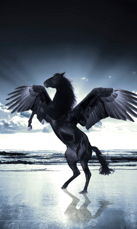 Das Pegasus Wallpaper 480x800