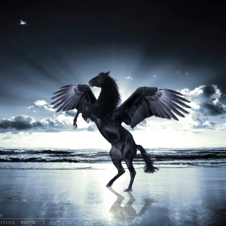 Pegasus - Obrázkek zdarma pro iPad Air