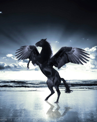 Free Pegasus Picture for 240x320