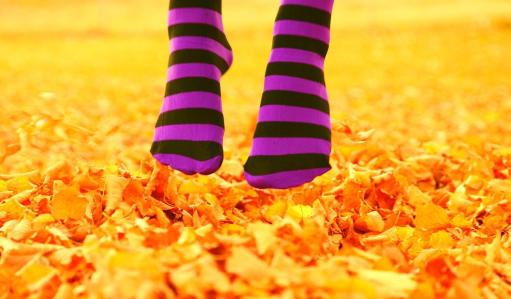 Das Purple Feet And Yellow Leaves Wallpaper 1024x600