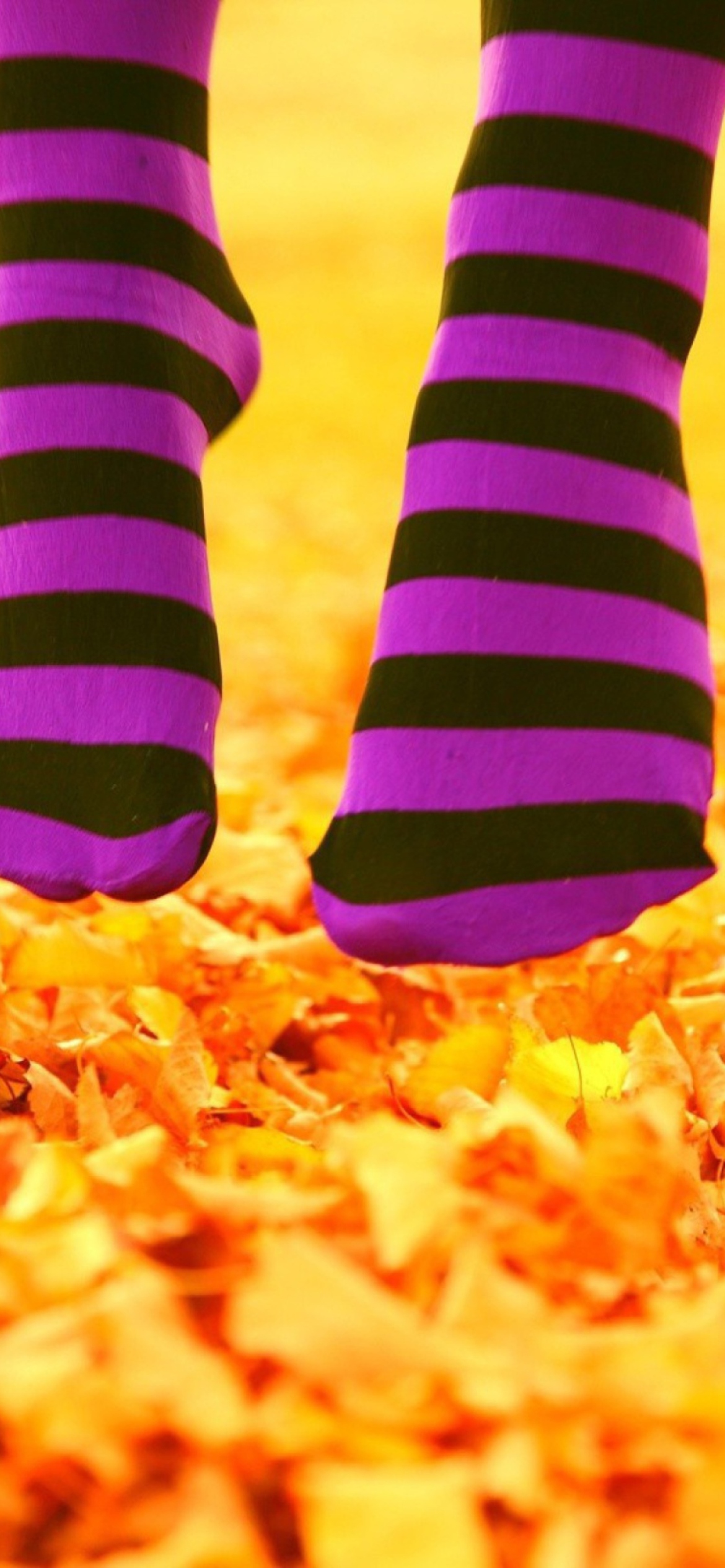 Sfondi Purple Feet And Yellow Leaves 1170x2532