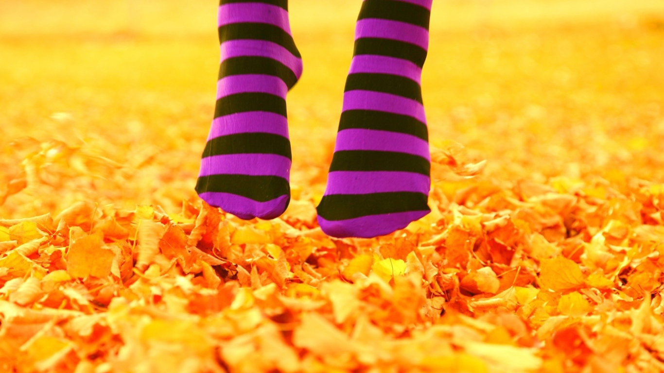 Purple Feet And Yellow Leaves wallpaper 1366x768