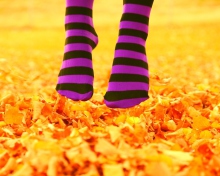 Fondo de pantalla Purple Feet And Yellow Leaves 220x176