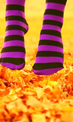 Purple Feet And Yellow Leaves wallpaper 240x400