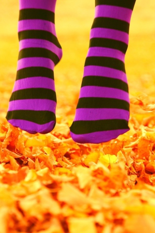 Fondo de pantalla Purple Feet And Yellow Leaves 320x480