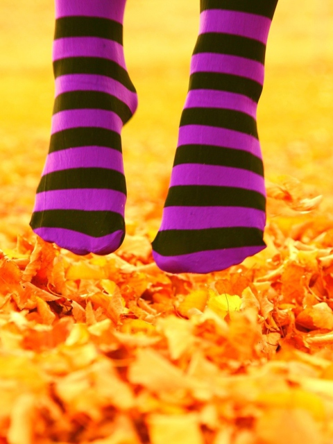Обои Purple Feet And Yellow Leaves 480x640