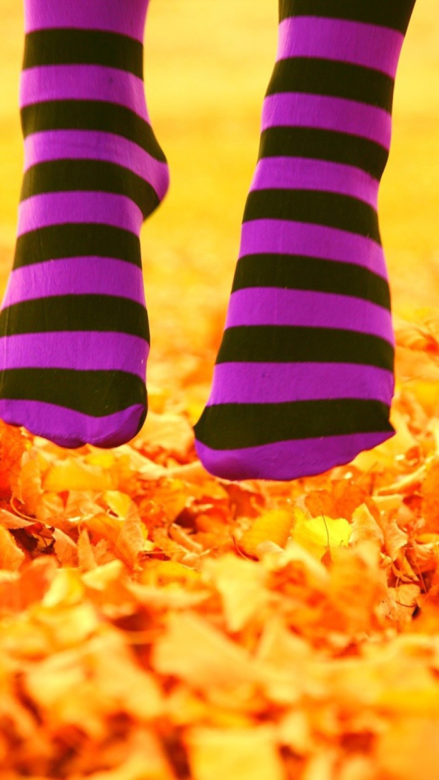 Purple Feet And Yellow Leaves wallpaper 640x1136