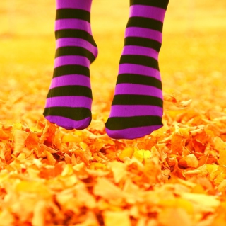 Purple Feet And Yellow Leaves Wallpaper for 2048x2048