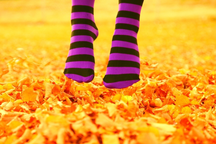 Обои Purple Feet And Yellow Leaves