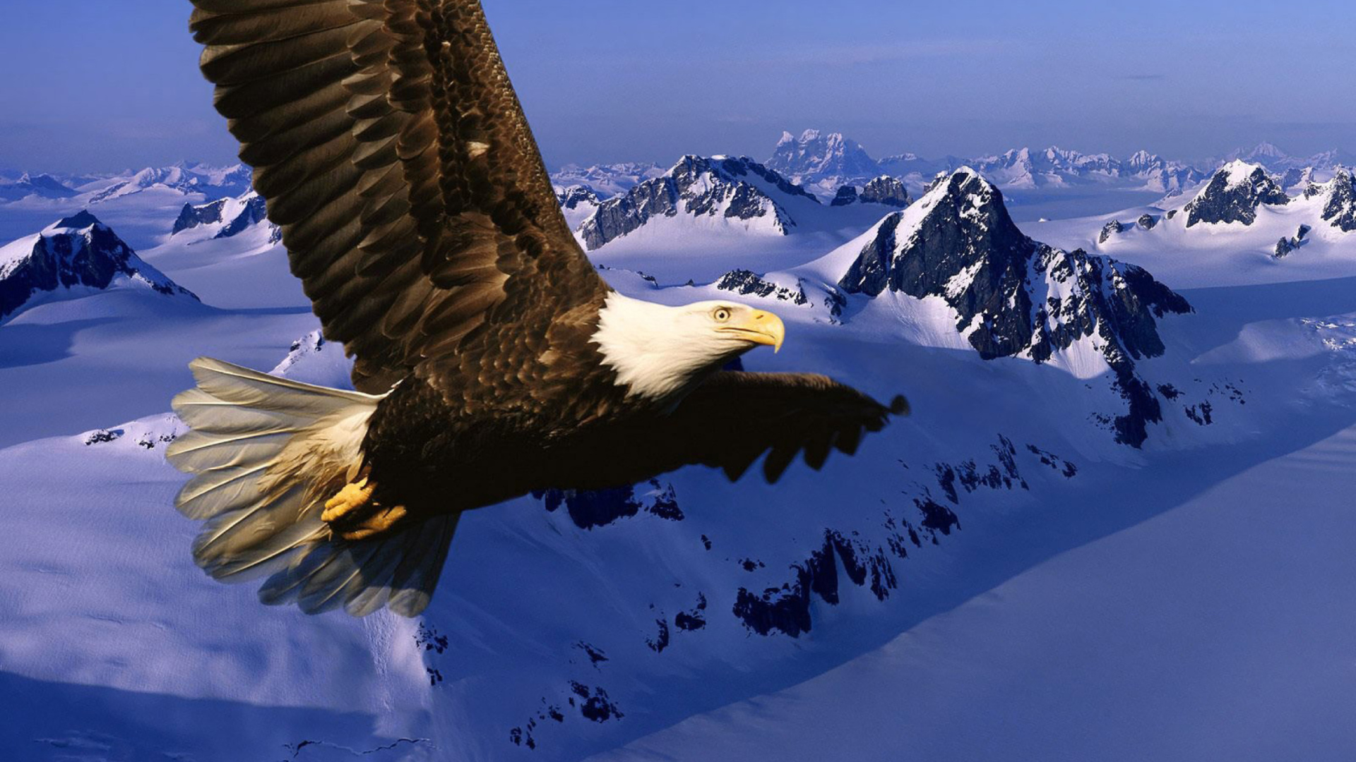 American Eagle screenshot #1 1920x1080