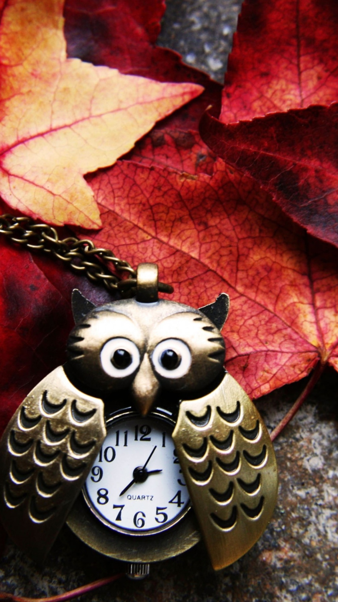 Das Retro Owl Watch And Autumn Leaves Wallpaper 1080x1920