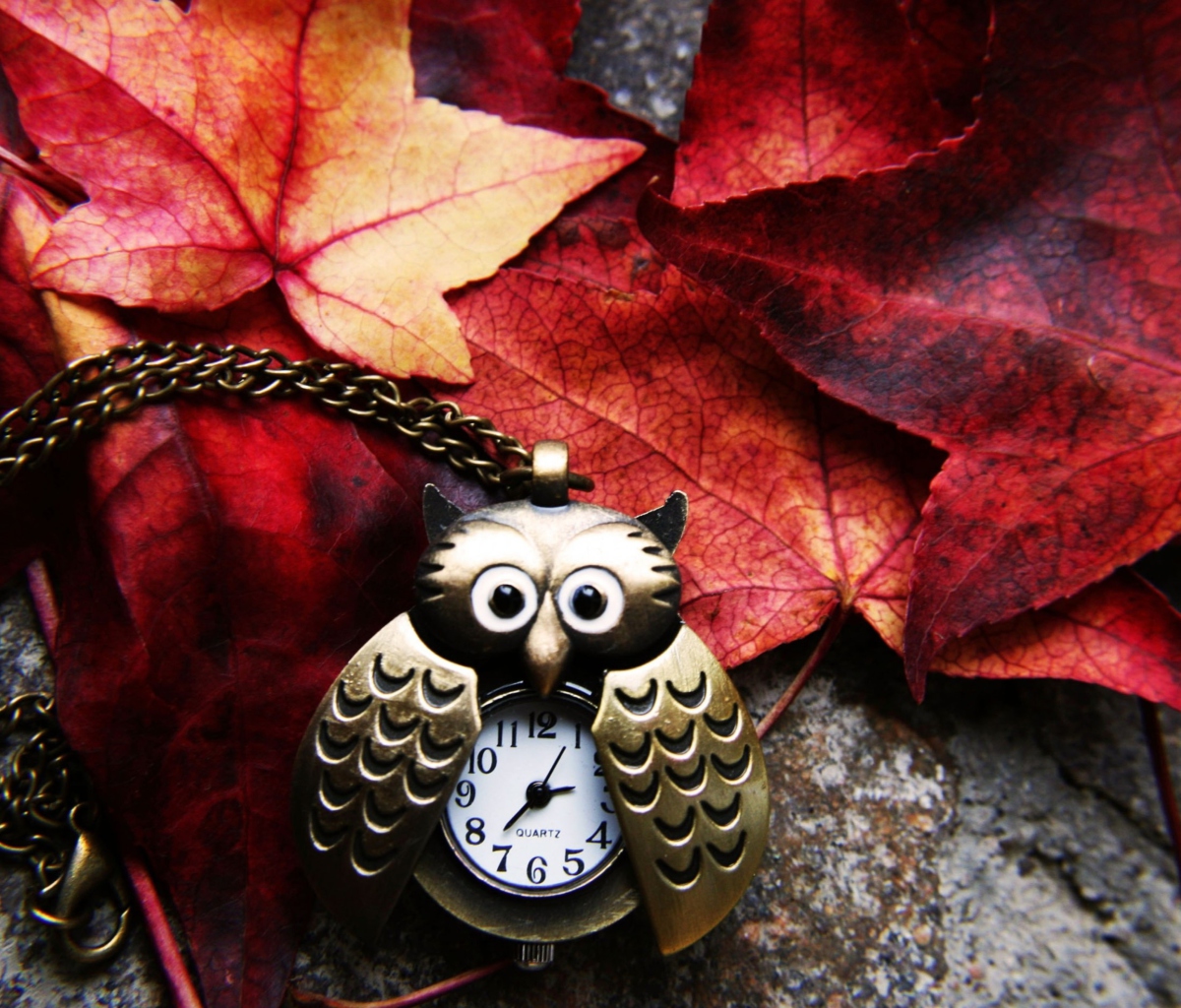 Retro Owl Watch And Autumn Leaves wallpaper 1200x1024