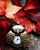 Screenshot №1 pro téma Retro Owl Watch And Autumn Leaves 128x160
