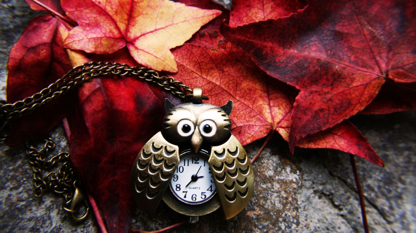 Retro Owl Watch And Autumn Leaves screenshot #1 1366x768