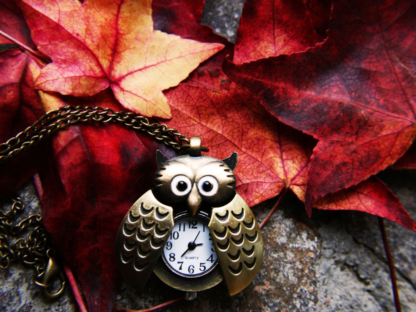Обои Retro Owl Watch And Autumn Leaves 1400x1050