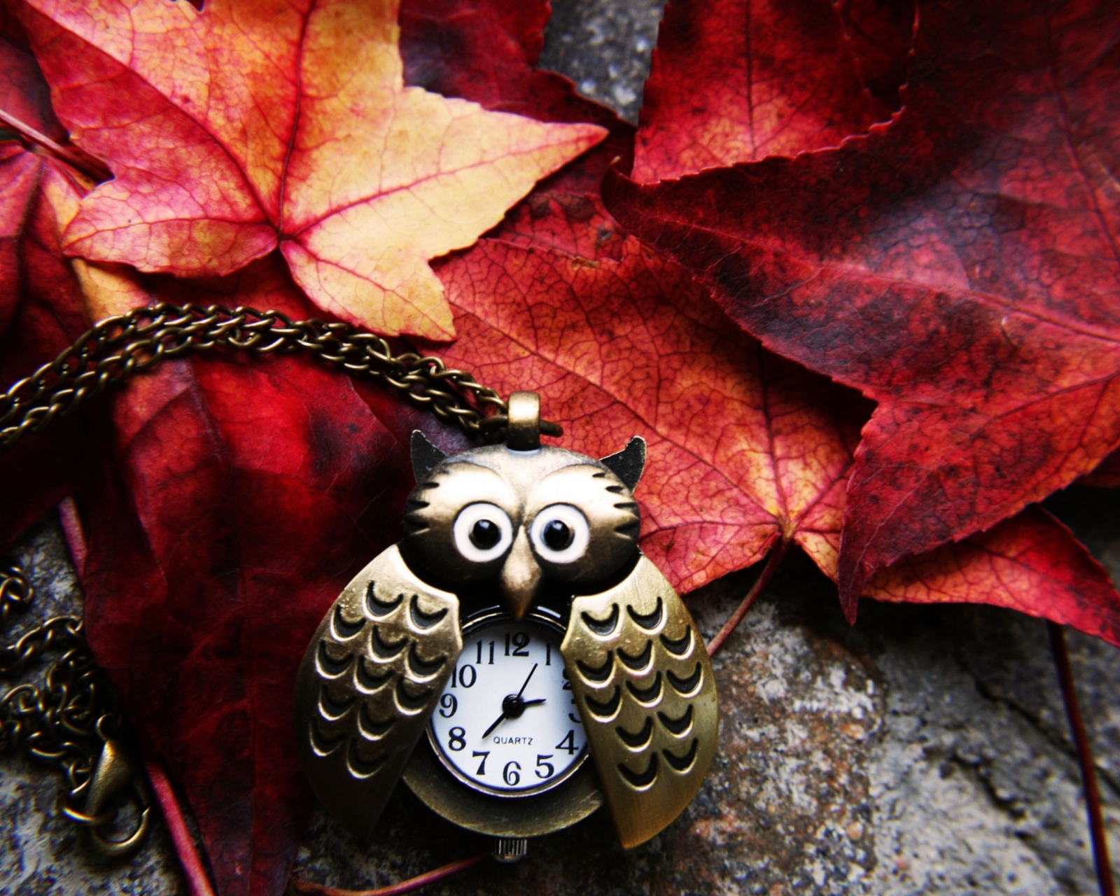 Screenshot №1 pro téma Retro Owl Watch And Autumn Leaves 1600x1280