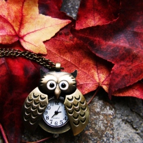 Обои Retro Owl Watch And Autumn Leaves 208x208