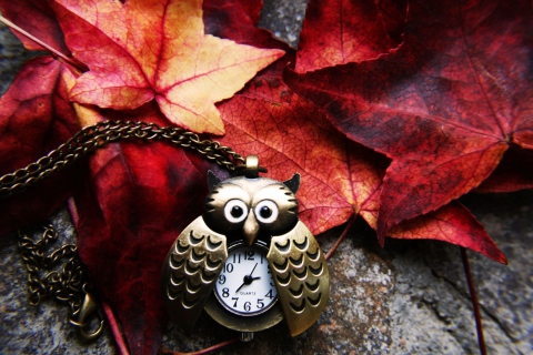 Retro Owl Watch And Autumn Leaves wallpaper 480x320