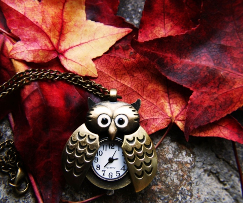 Retro Owl Watch And Autumn Leaves wallpaper 480x400