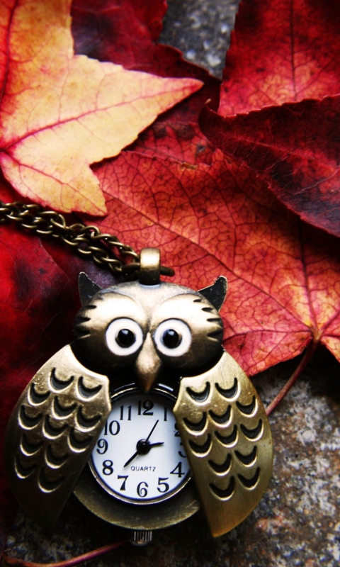Retro Owl Watch And Autumn Leaves wallpaper 480x800