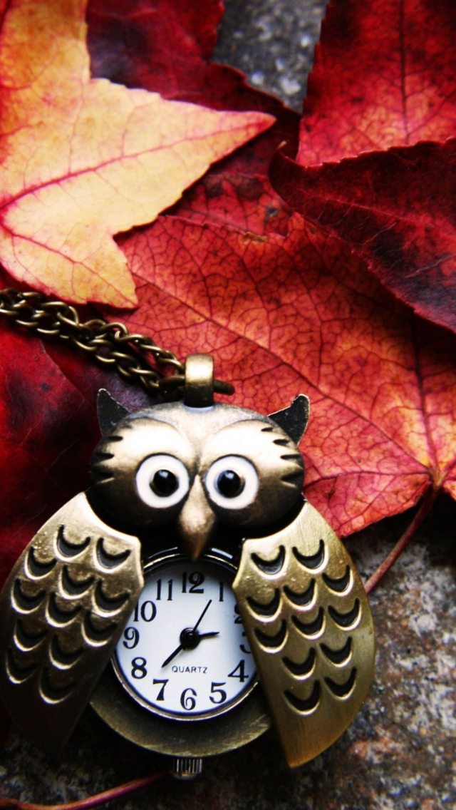 Retro Owl Watch And Autumn Leaves wallpaper 640x1136