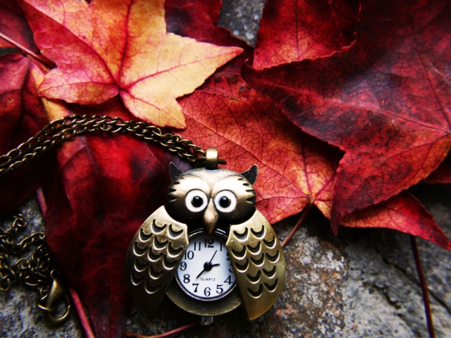 Обои Retro Owl Watch And Autumn Leaves 640x480