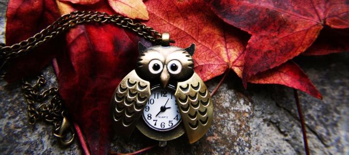 Retro Owl Watch And Autumn Leaves screenshot #1 720x320