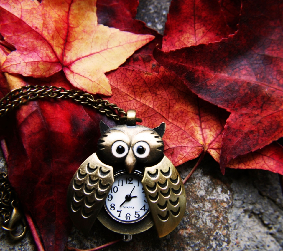 Das Retro Owl Watch And Autumn Leaves Wallpaper 960x854