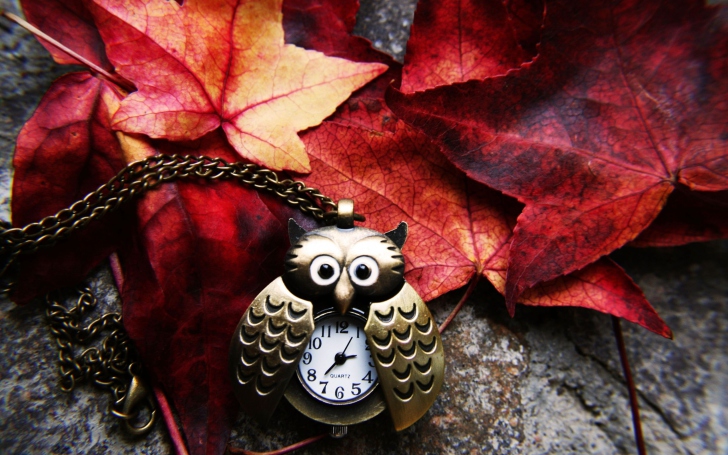 Обои Retro Owl Watch And Autumn Leaves
