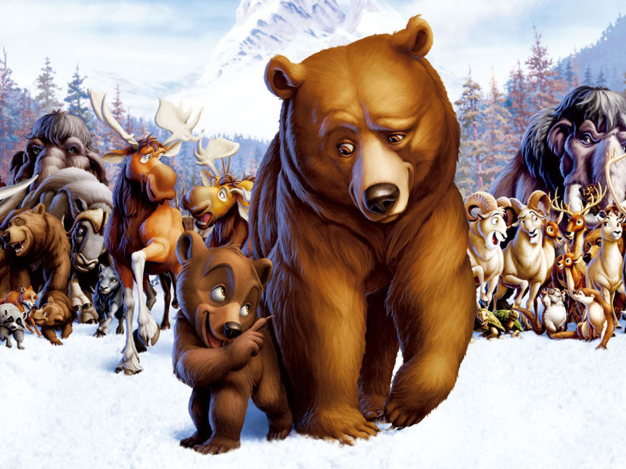 Das Brother Bear Cartoon Wallpaper 1280x960